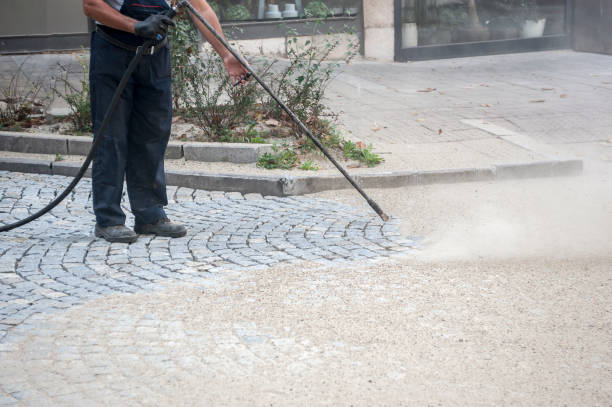 Best Sidewalk and Walkway Pressure Cleaning in Camden, SC